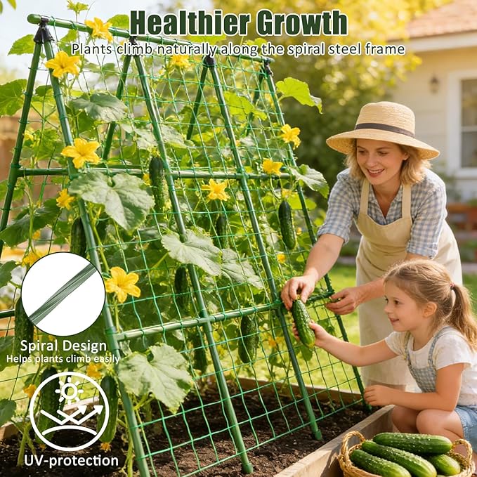 Miory Cucumber Trellis for Raised Beds, 48 x 48 Inch Metal A-Frame Garden - Image 5