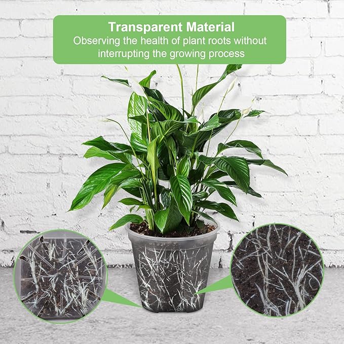 GREENPARA Transparent Plastic Garden Pots Planter - Image 4