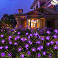 Solar Garden Lights Outdoor, 2 Pack 20 LED Solar Purple Firefly Lights by KohlrabiDecor