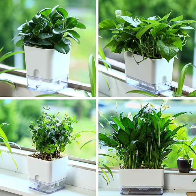Planterhoma 6 Pack-5.5 Inch Self Watering Plant Pots - Image 5
