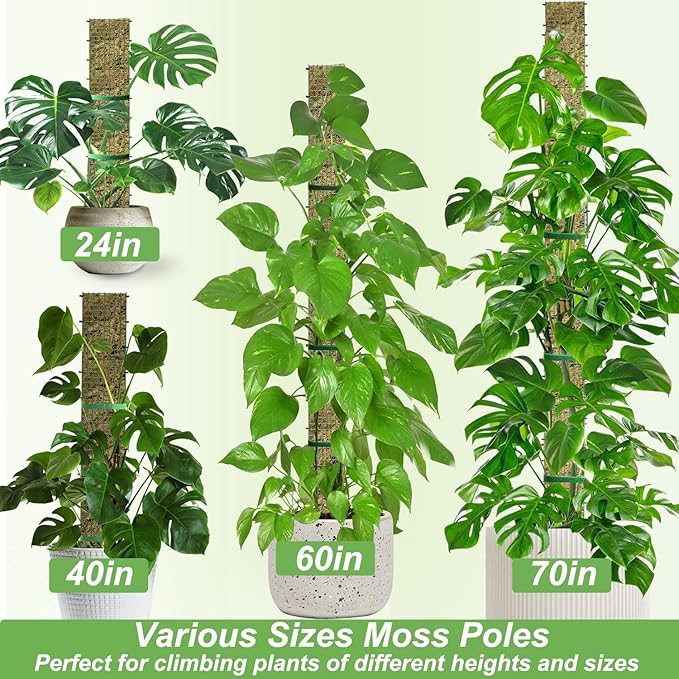 24" Metal Moss Pole, D Shape Sphagnum Moss Pole, Moss Poles - Image 7