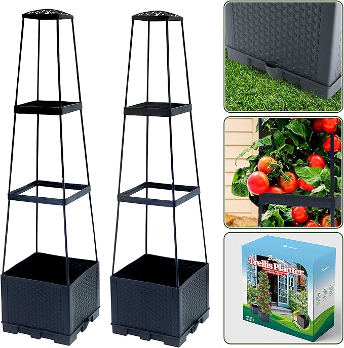 2 Packs Raised Garden Bed Tomato Planter Box by Biotolot