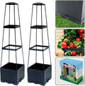 2 Packs Raised Garden Bed Tomato Planter Box by Biotolot