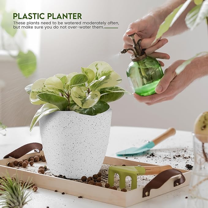 Utopia Home - Spotty Plant Pots Indoor - 7/6.6/6/5.3/4.8 Inches Flower Pots - 5 - Image 3