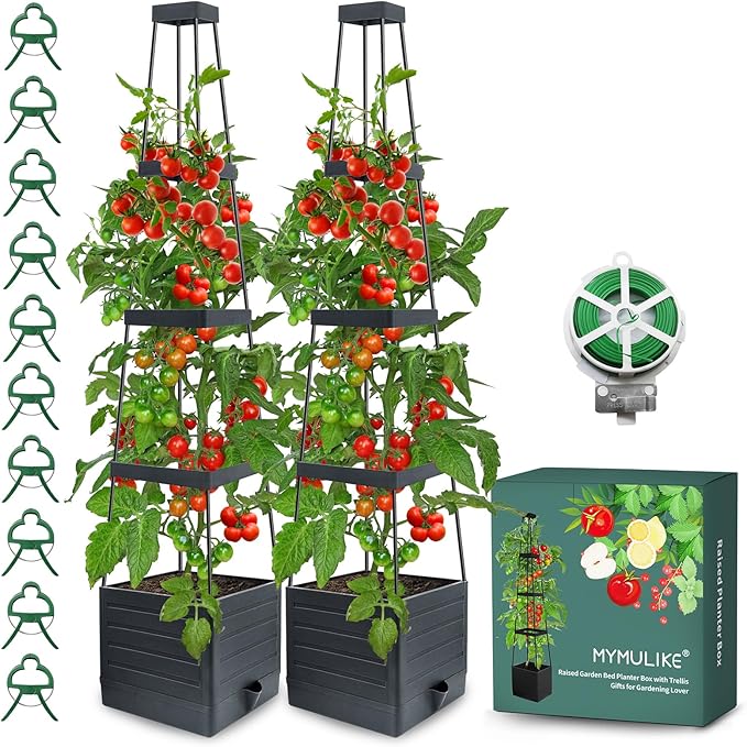 2 Pack Raised Garden Bed Planter Box by MYMULIKEHOME
