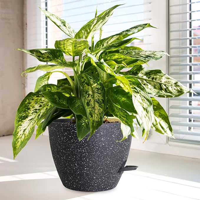 12/10/9 inch Large Self Watering Pots, Plant Pots - Image 6