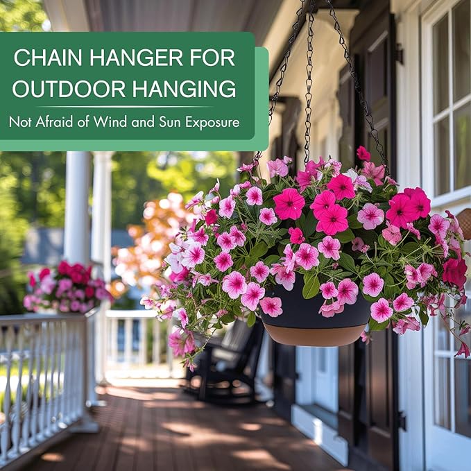 montresor Set of 2-8 Inch Hanging Planters - Image 3
