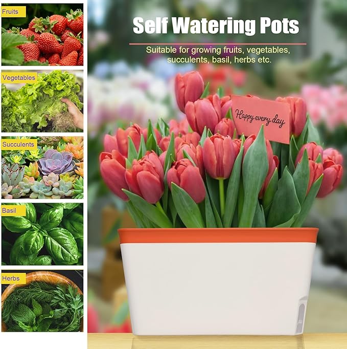 OurWarm Windowsill Herb Planter Box Indoor Set of 3, 10.5 Inch Self Watering - Image 5