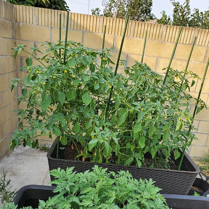 Garden Plant Stakes 48 Inch 4Ft Steel Plant Stick Support, 25 Pack Tomato Stakes - Image 4