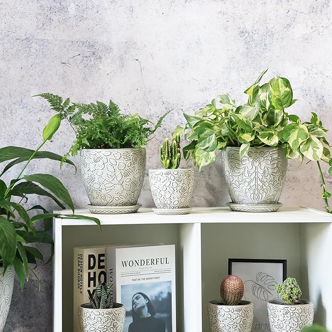 6 Inch Ceramic Planter Pots - Image 5