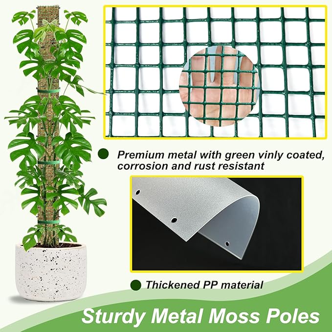 24" Metal Moss Pole, D Shape Sphagnum Moss Pole, Moss Poles - Image 2