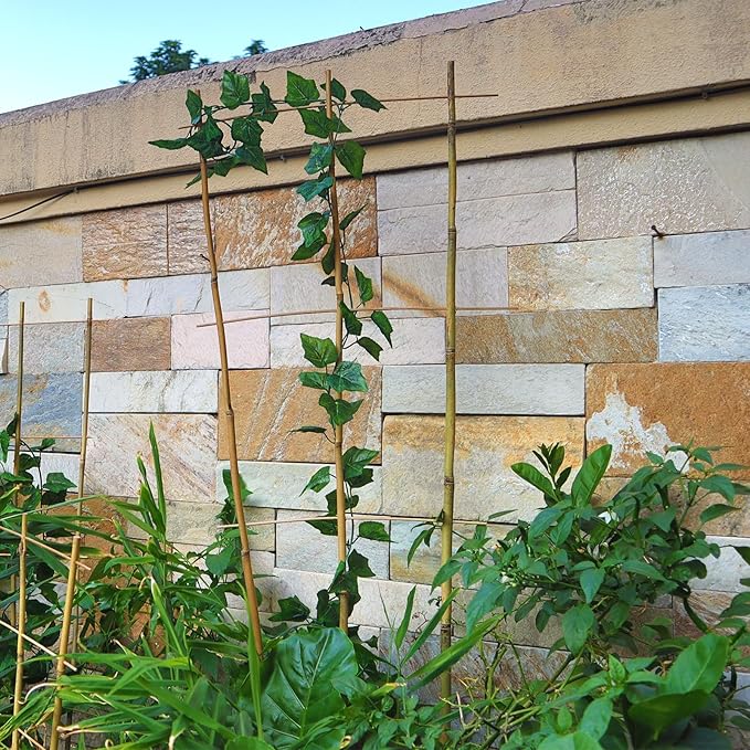 10 Pack 3ft Bamboo Trellis for Climbing Plants - Image 5