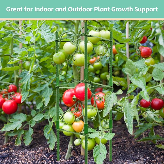 Riare 2 Pack 4 FT Tomato Cages for Garden- 48inches Heavy Duty Garden Stakes - Image 7