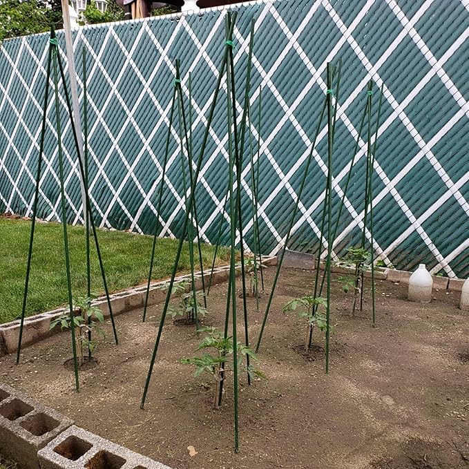 Garden Plant Stakes 57 Inch Steel Plant Stick Support, 25 Pack Tomato Stakes - Image 6