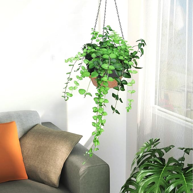 3 Pack Hanging Planter Indoor Outdoor Flower Pots 7/6.5/5 Inch, Self-Watering - Image 7