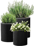 Keter Cylinder Set of 3 Rattan Resin Planter by Keter