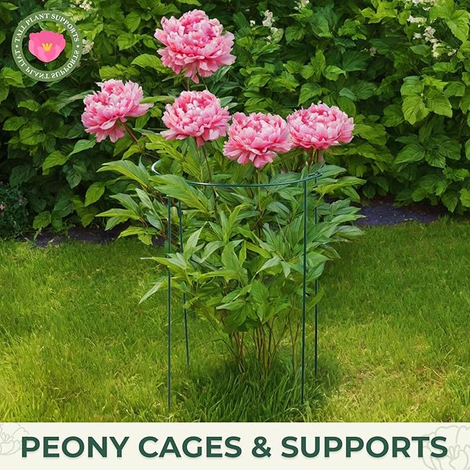 LEOBRO Plant Support, Plant Stakes, Plant Supports - Image 5