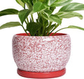 SQOWL Ceramic Pots for Plants by SQOWL