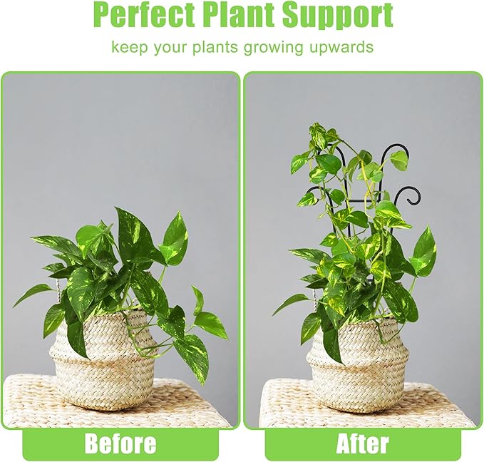 Coomin Small Plant Trellis for Climbing Plants Indoor, 14.5in Metal House Plant - Image 4
