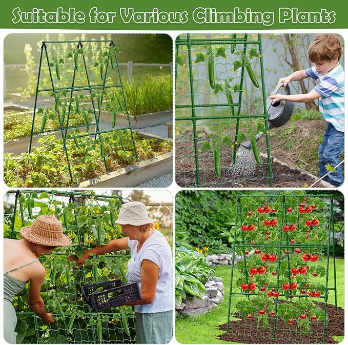 Cucumber Trellis for Raised Beds, 31 X 47 Inch Adjustable Size A-Frame Garden - Image 7