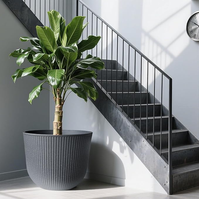 WORTH Garden Round Large Planter Pot 1-Pack - Image 7
