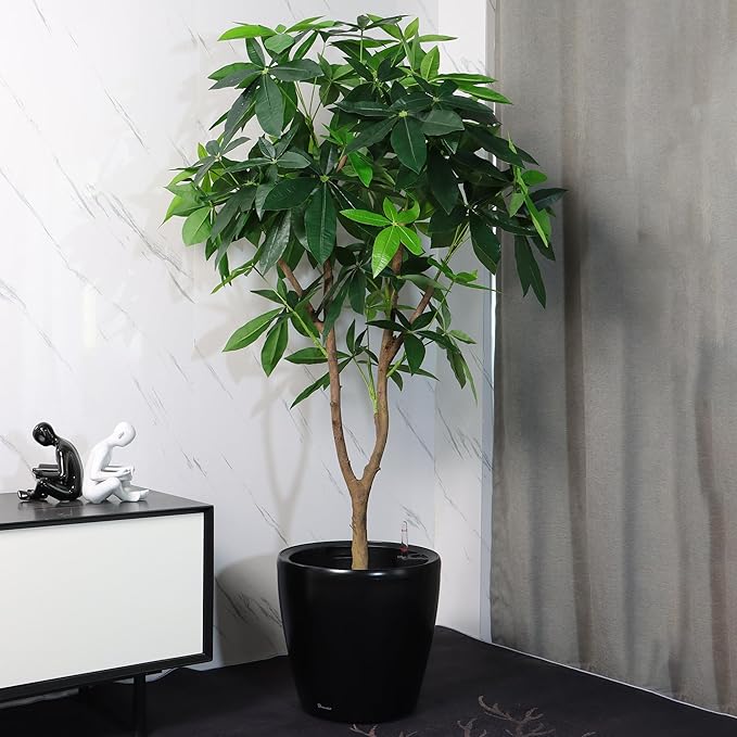 Dexceder 15x14 Self Watering Planter - Image 6