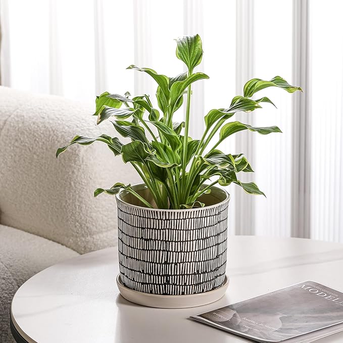 8 Inch Plant Pot: Ceramic Planter - Image 6