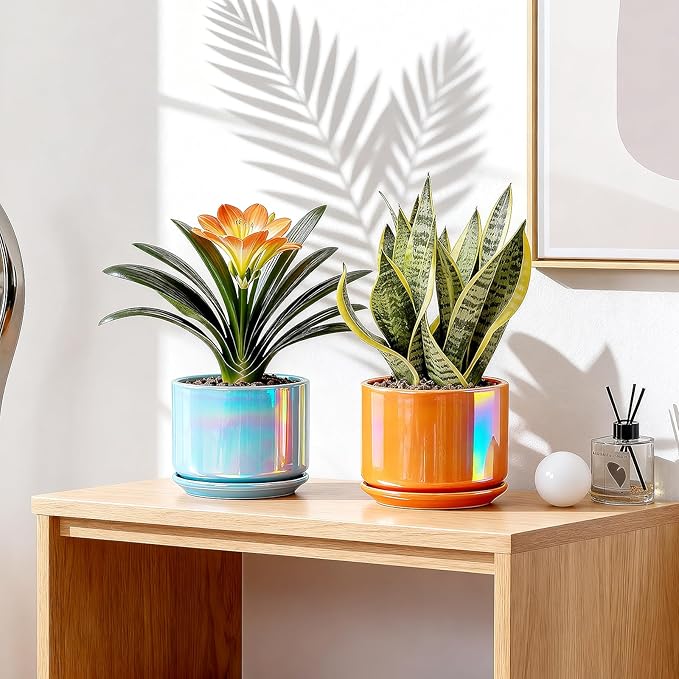 EFISPSS Ceramic Planter 4+5+6 Inch Ceramic Flower pots - Image 6