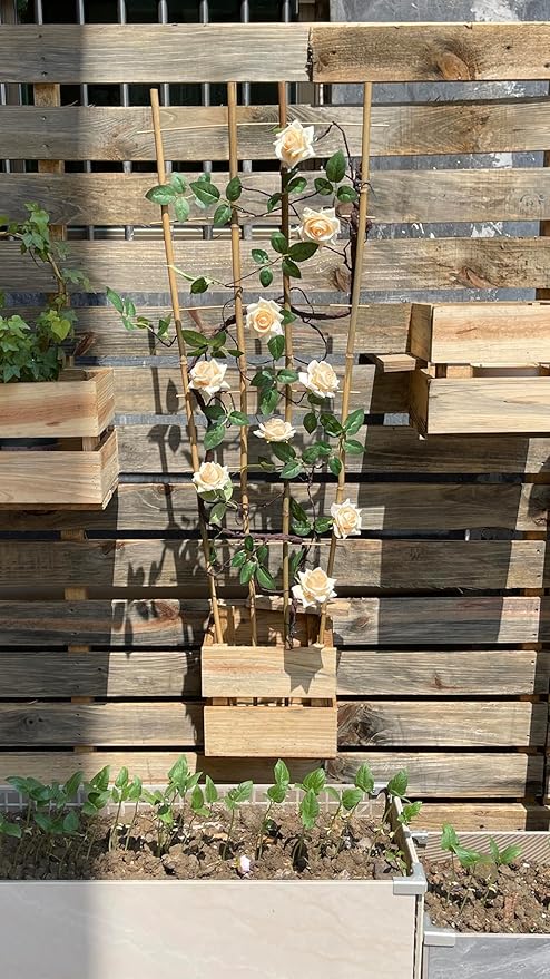 Natural Bamboo Trellis, Fan-Shaped Plant Support Trellis - Image 8