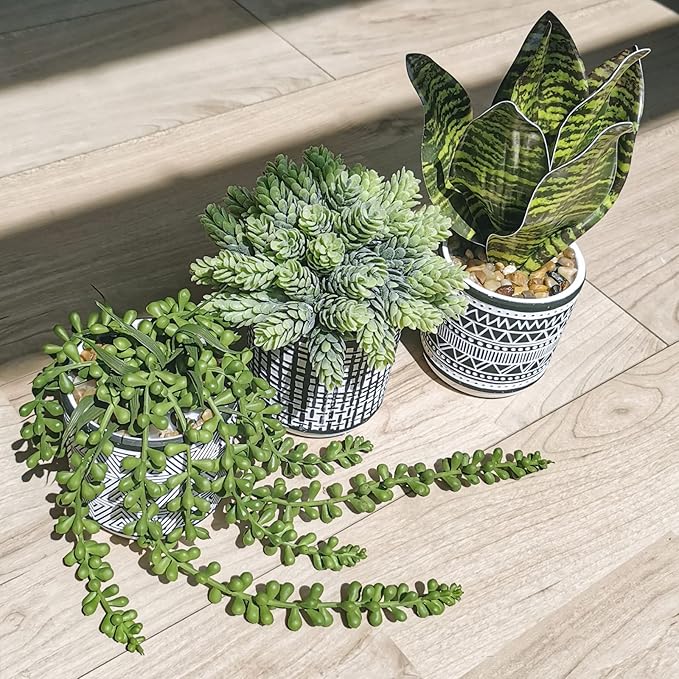 Winlyn 3 Pcs Small Potted Plants Artificial Succulents Hanging Plants and Faux - Image 8
