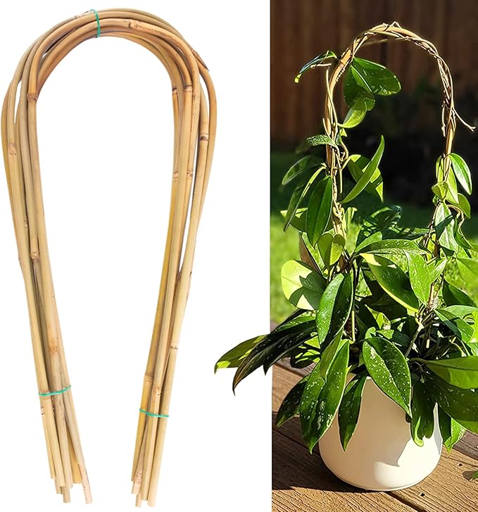 Avalution 16" Natural Bamboo Plants Trellis U-Hoop, Bamboo Gaeden Trellis by Avalution