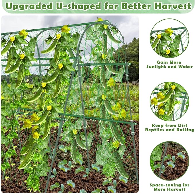 Cucumber Trellis for Raised Beds, 63 x 45 Inch U-Shaped Garden Trellis for - Image 4