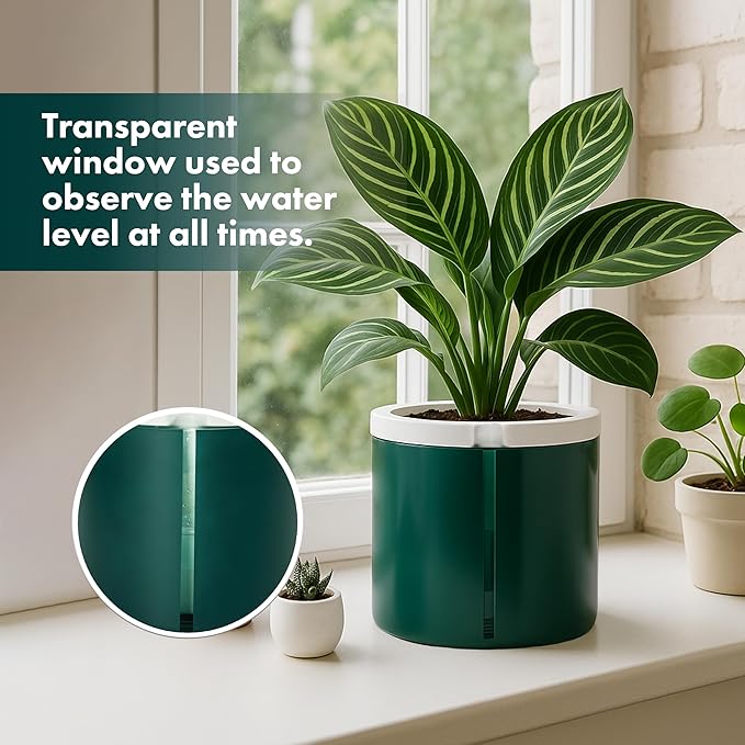 D'vine Dev 8 Inch Design Self Watering Planter - Image 7