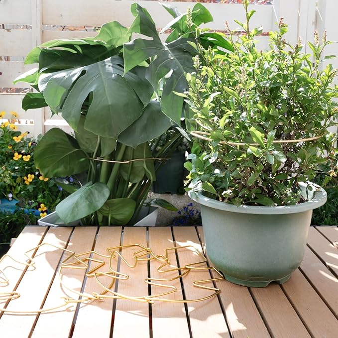 5PCS Monstera Plant Stem Support - Image 8