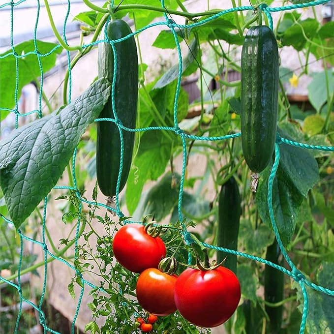 Pack of 2 Cucumber Tomato Trellis Netting, Heavy Duty Garden Netting - Image 3