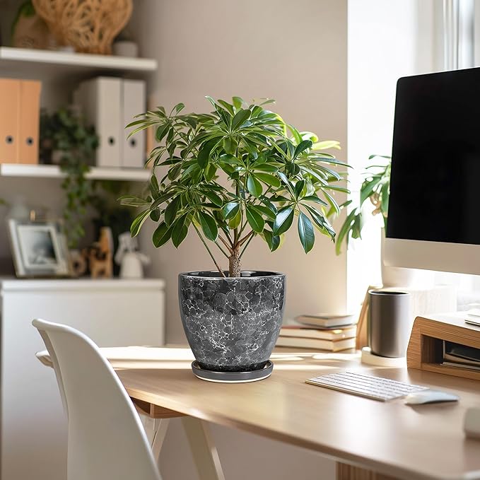 Ceramic Pots for Plants - Image 5