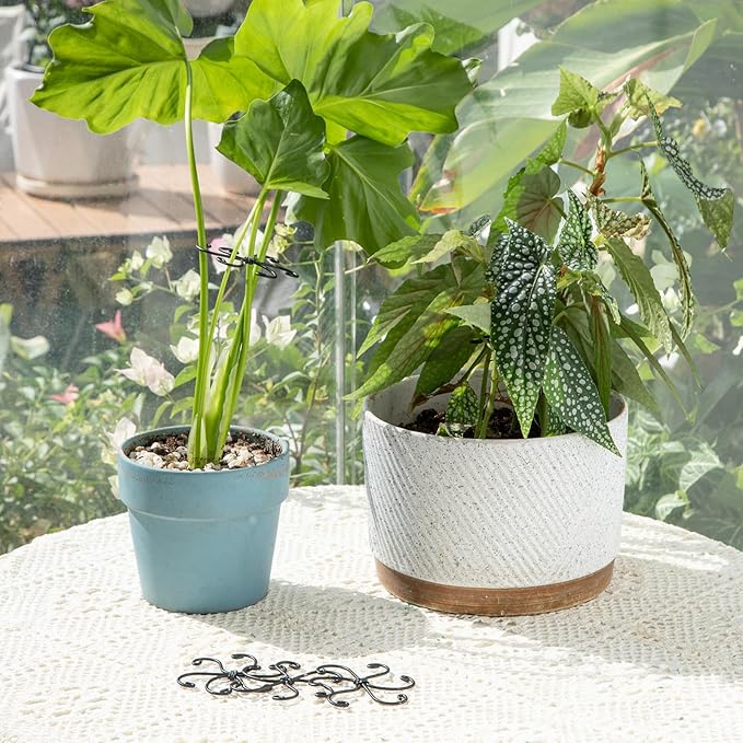 Monstera Plant Stem Support Set - Image 6