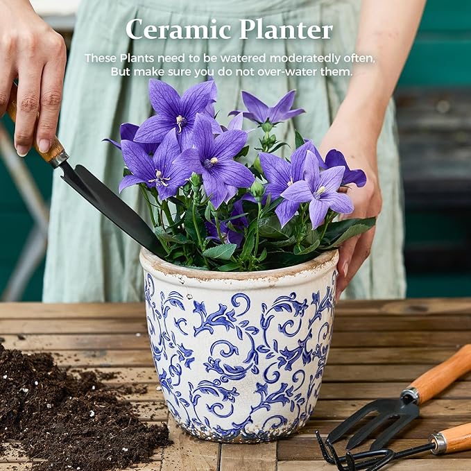 Vintage Ceramic Planter with Drainage Hole, Plastic Tray & Mesh, 6.5 Inch - Image 2