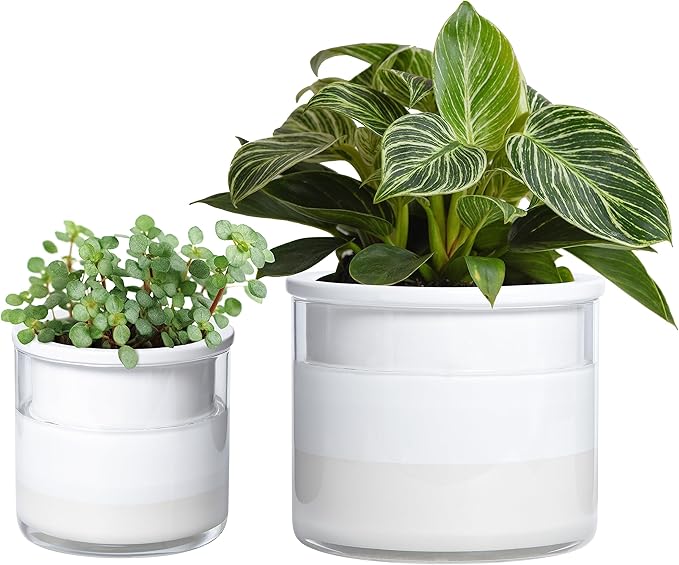 Phoenix Vine 6 Inch 4 Inch Self Watering Planter Pots, Design White Terracotta by Phoenix+Vine