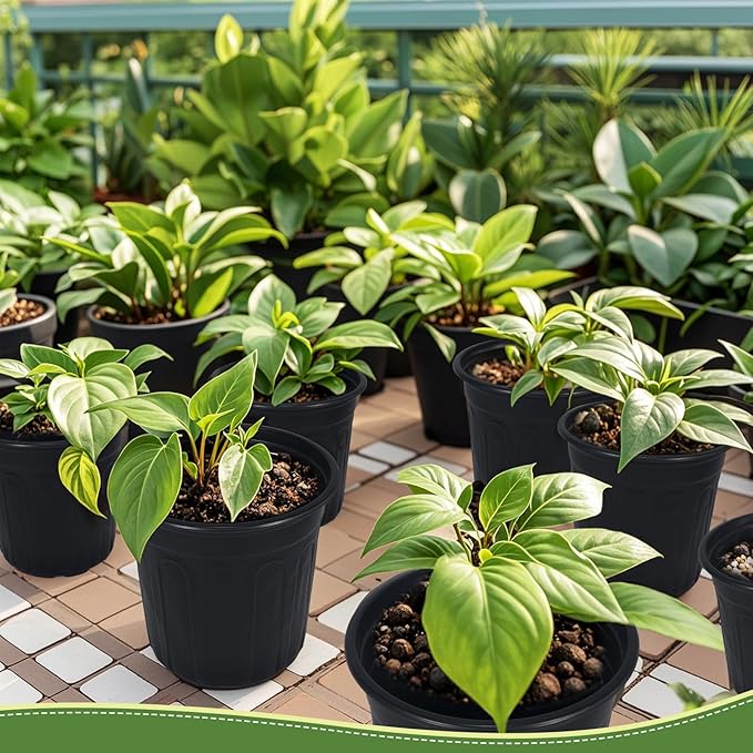 100Pcs 1 Gallon Black Nursery Pots, Soft Plastic Seedling Plant Pot - Image 7