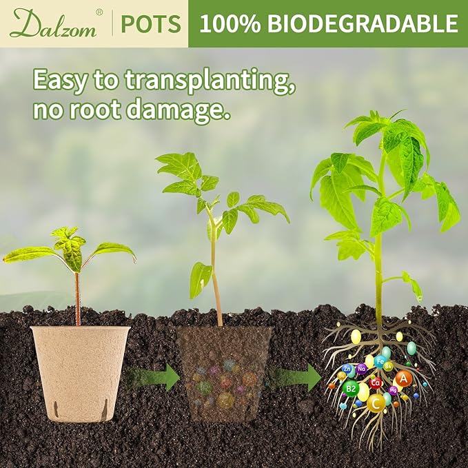 Dalzom® 60Pcs 3.1” Peat Pots - Image 5