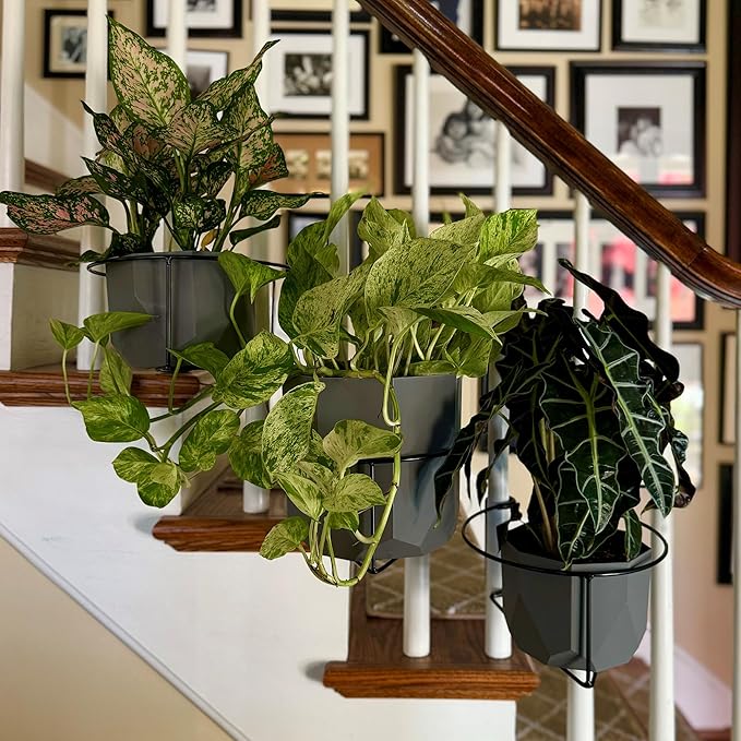 Railscapes Floating Railing Plant Clip - Image 5