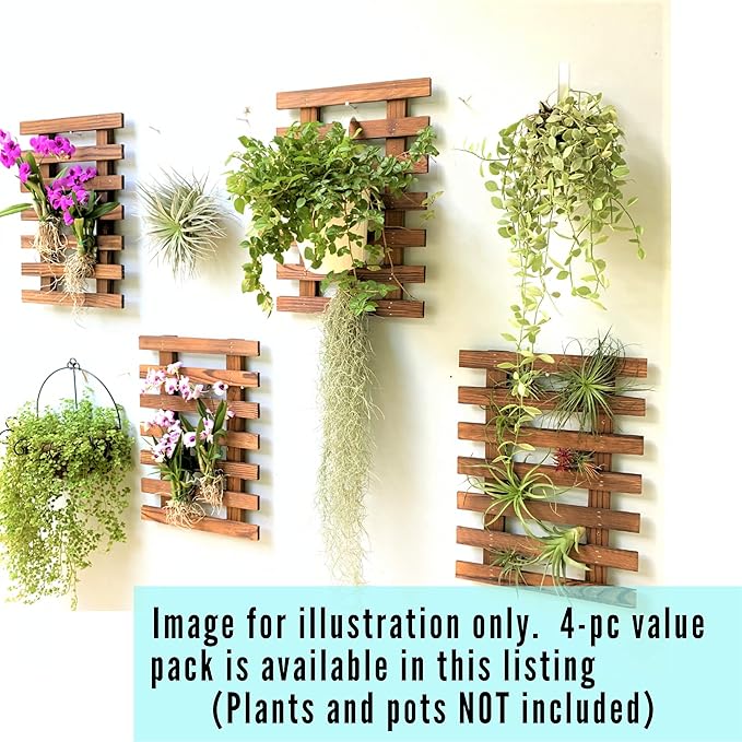 ShopLaLa Wall Planter - Image 8