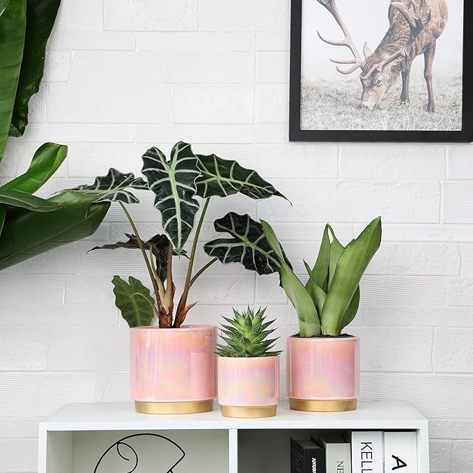 Gepege Pink Indoor Plant Pots for Plants, Ceramic Planter - Image 4