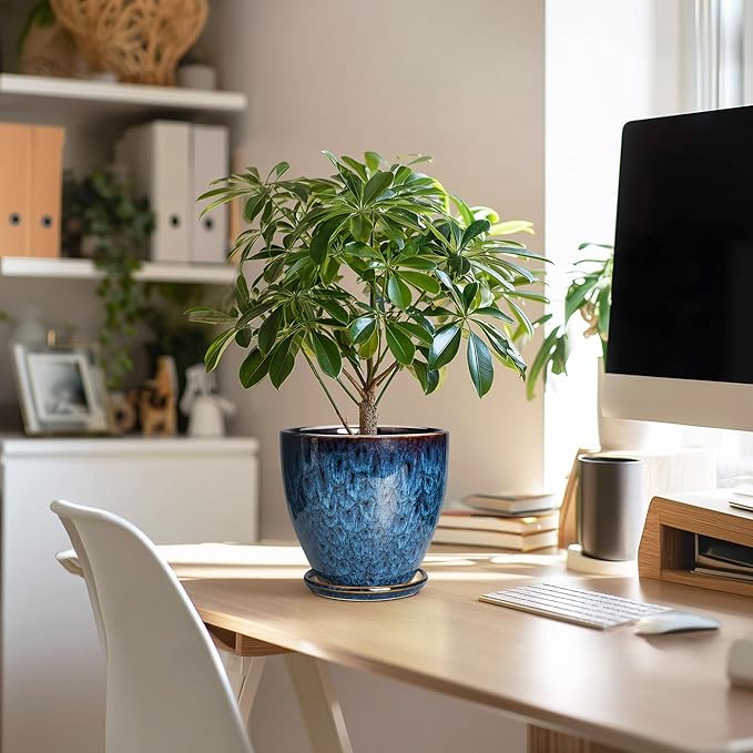 6 Inch Plant Pot - Image 5