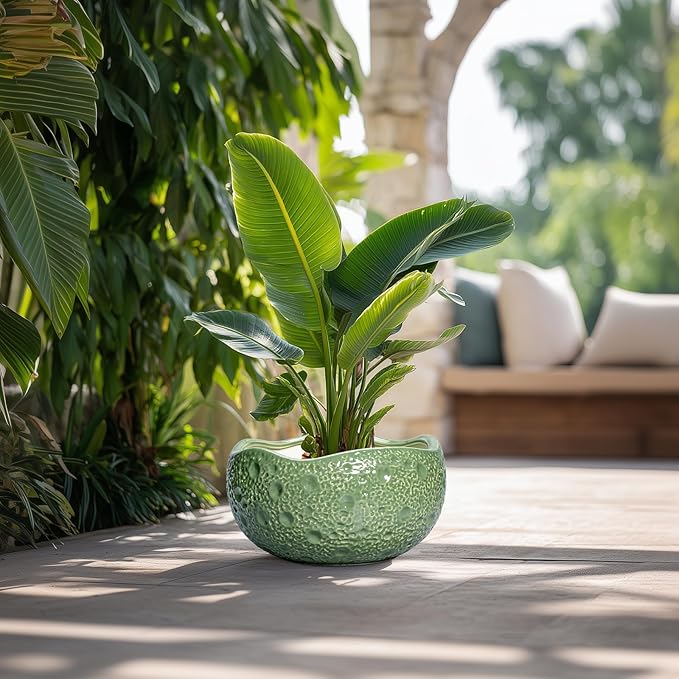 Ceramic Pots for Plants - Image 4