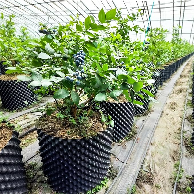 Air Pruning Containers, 14 Gallon Air Pruning Planters, Plastic Pots - Image 3