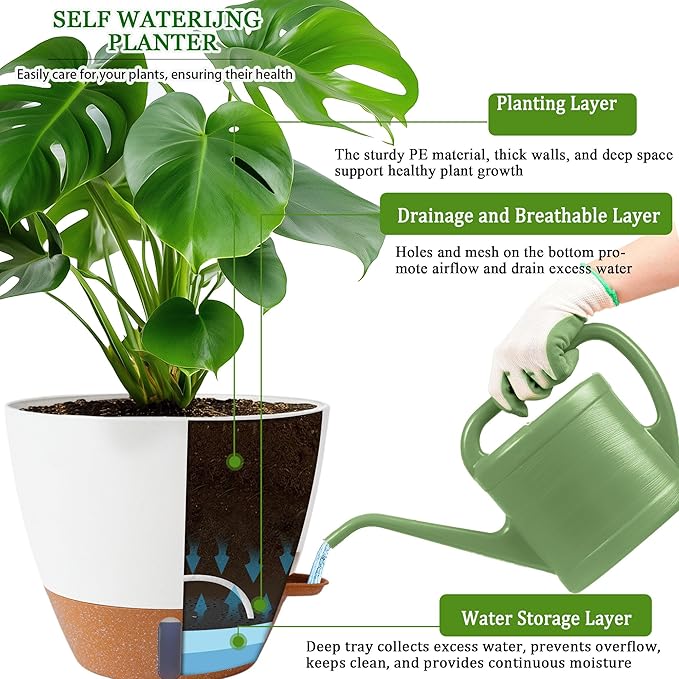 8/10/12 Inch Self Watering Pots - Image 7