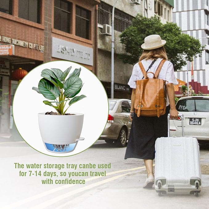 8 inch Self Watering Pots, Plant Pots - Image 6
