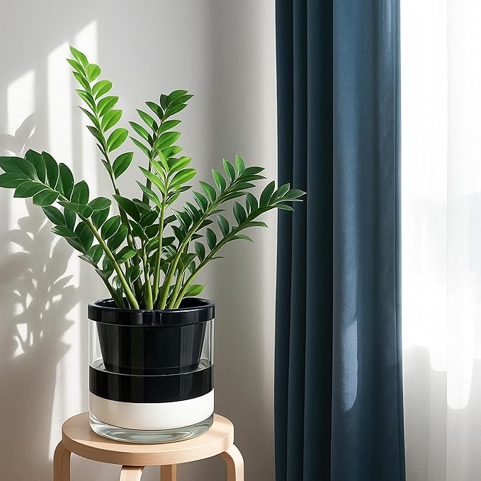 D'vine Dev 10 Inch Design Self Watering Planter - Image 2